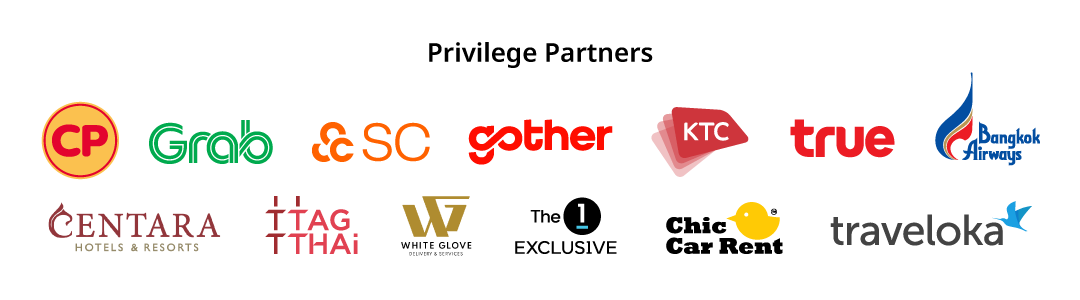 Privilege Partners